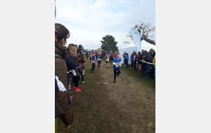 5e11da89232fe_IMG2368.JPG